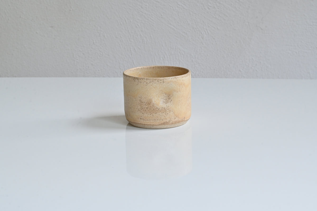daily cup